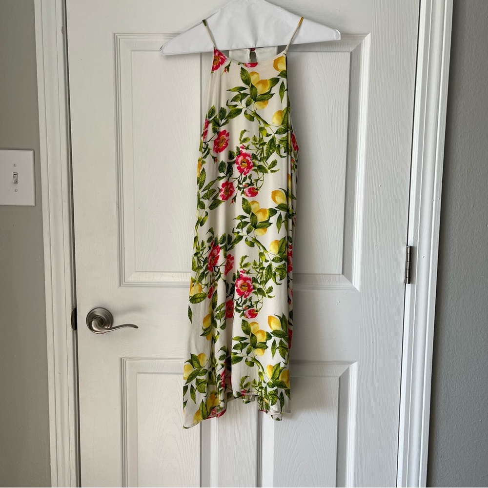 NWOT Francesca's Everly Floral & Fruit Dress size Small